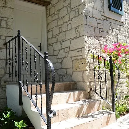 Boreas (adults Only) *