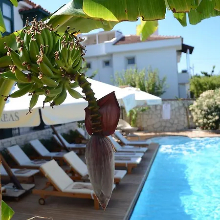 Semesterbostad Boreas (adults Only) Alaçatı