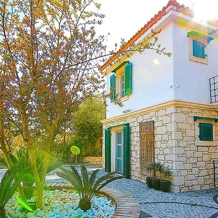 Boreas (adults Only)