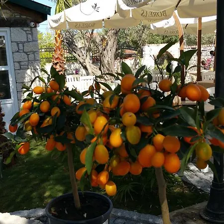 別荘 Boreas (adults Only) *