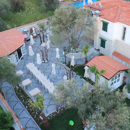 Boreas (adults Only)