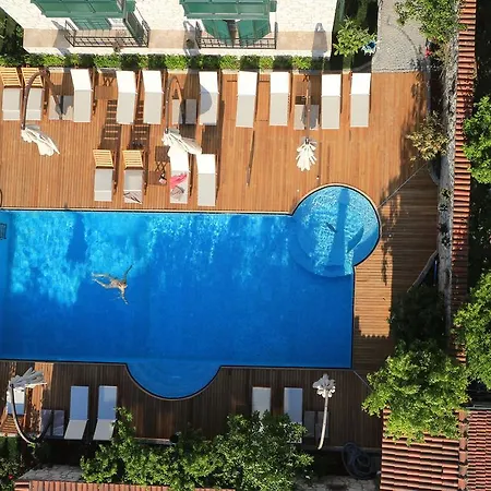 Boreas (adults Only)