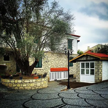 Boreas (adults Only)