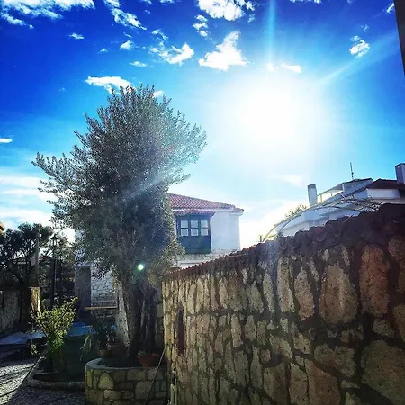 Boreas (adults Only) アラカティ