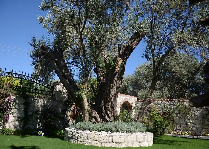 Boreas (adults Only) Alaçatı