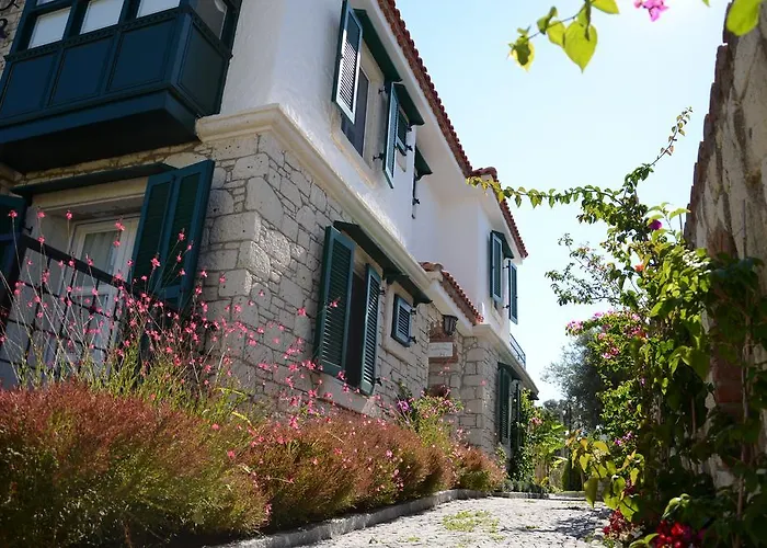 Boreas (adults Only)