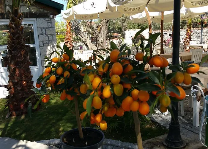 Casa vacanze Boreas (adults Only) *