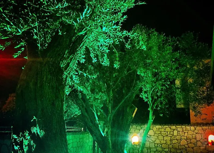 Nyaraló Boreas (adults Only) Alacati