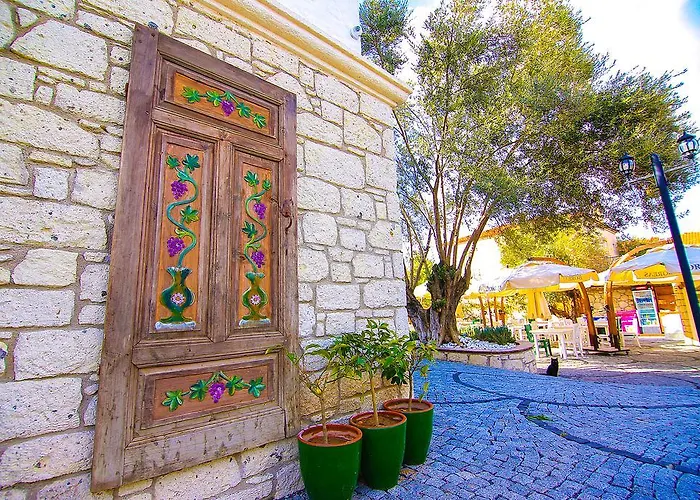 Boreas (adults Only) *