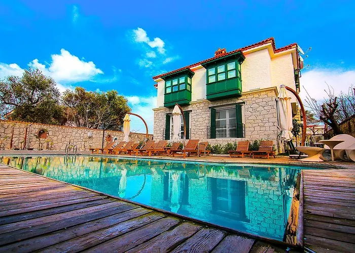 Boreas (adults Only)