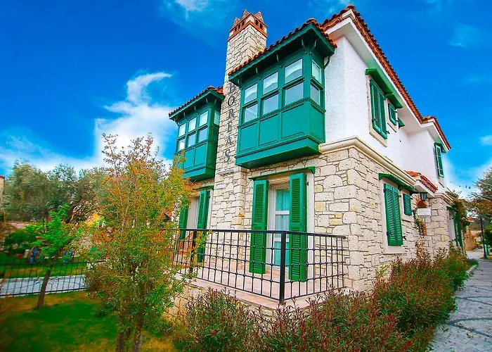 Boreas (adults Only)