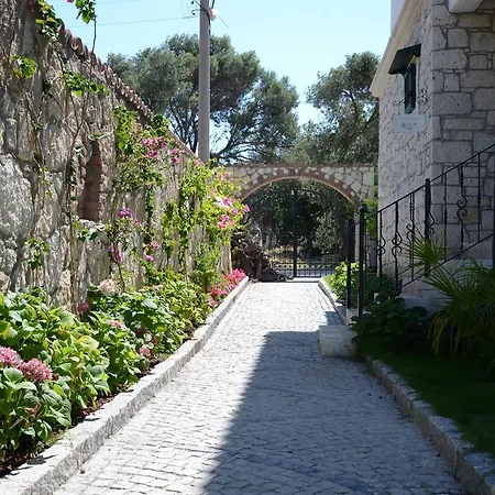 Boreas (adults Only) 알라카티