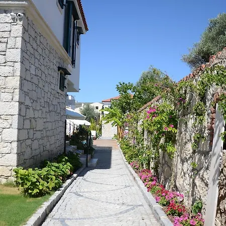 Boreas (adults Only) 펜션