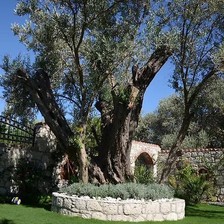 Boreas (adults Only) 알라카티