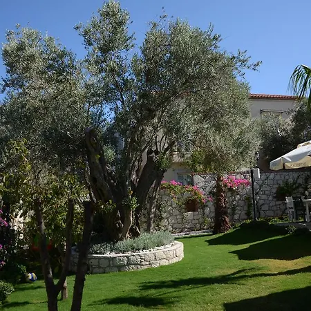 Boreas (adults Only) 펜션