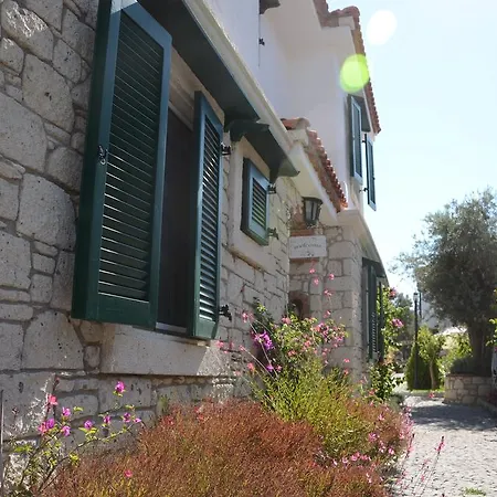 Boreas (adults Only) *