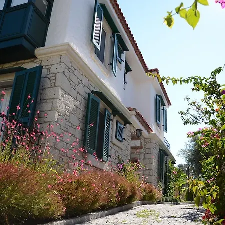 Boreas (adults Only)