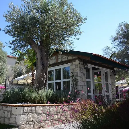 Boreas (adults Only) * 알라카티