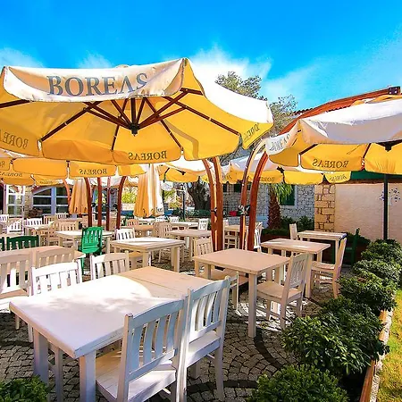 Boreas (adults Only) *