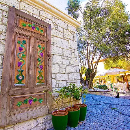 Boreas (adults Only) *