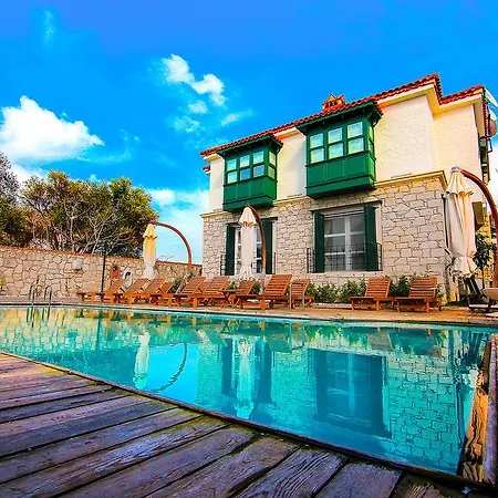 Boreas (adults Only)