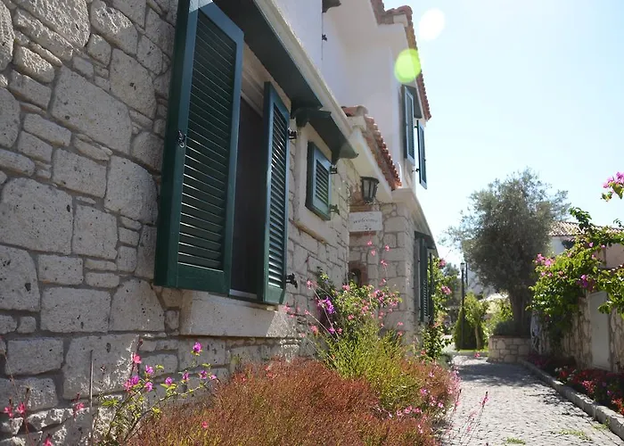 Boreas (adults Only) *