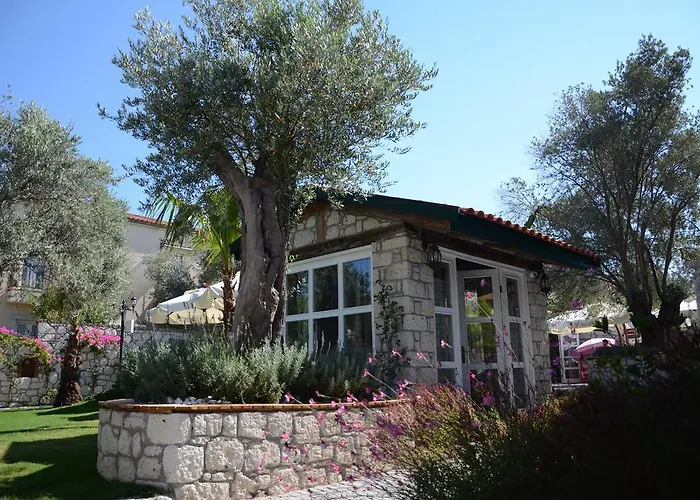 Boreas (adults Only) * Alacati