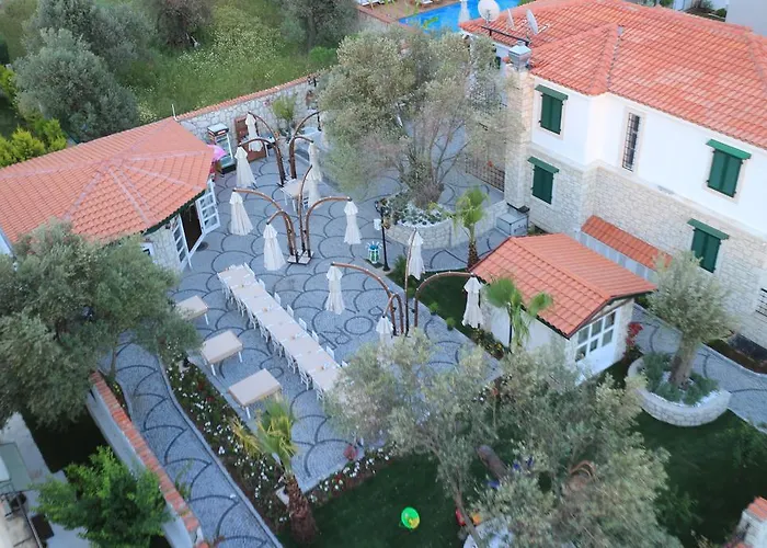 Boreas (adults Only)