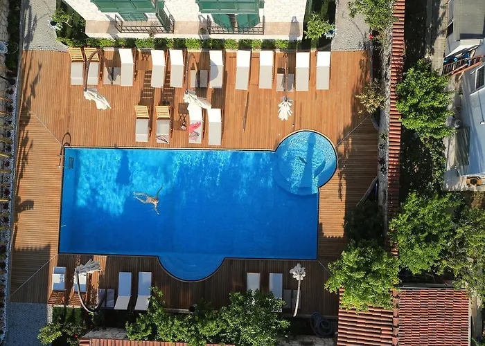 Boreas (adults Only)