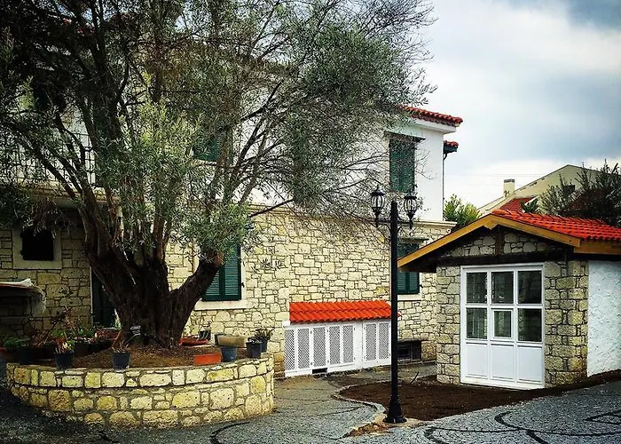 Boreas (adults Only)