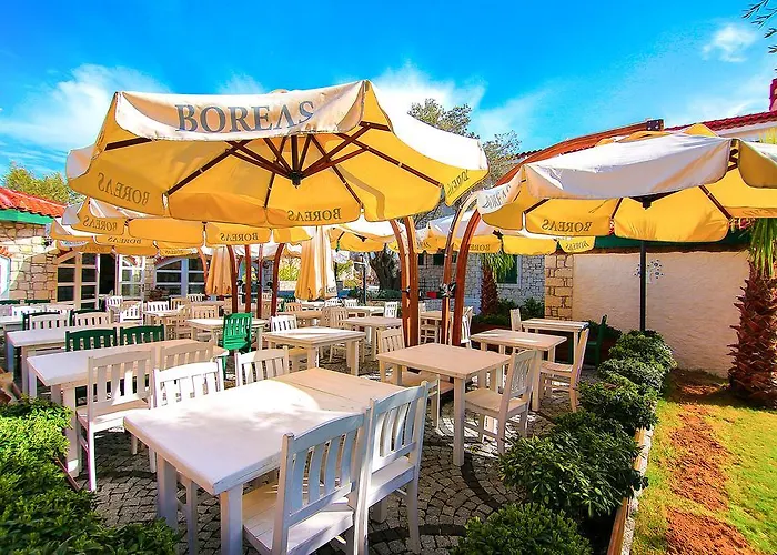 Boreas (adults Only) *